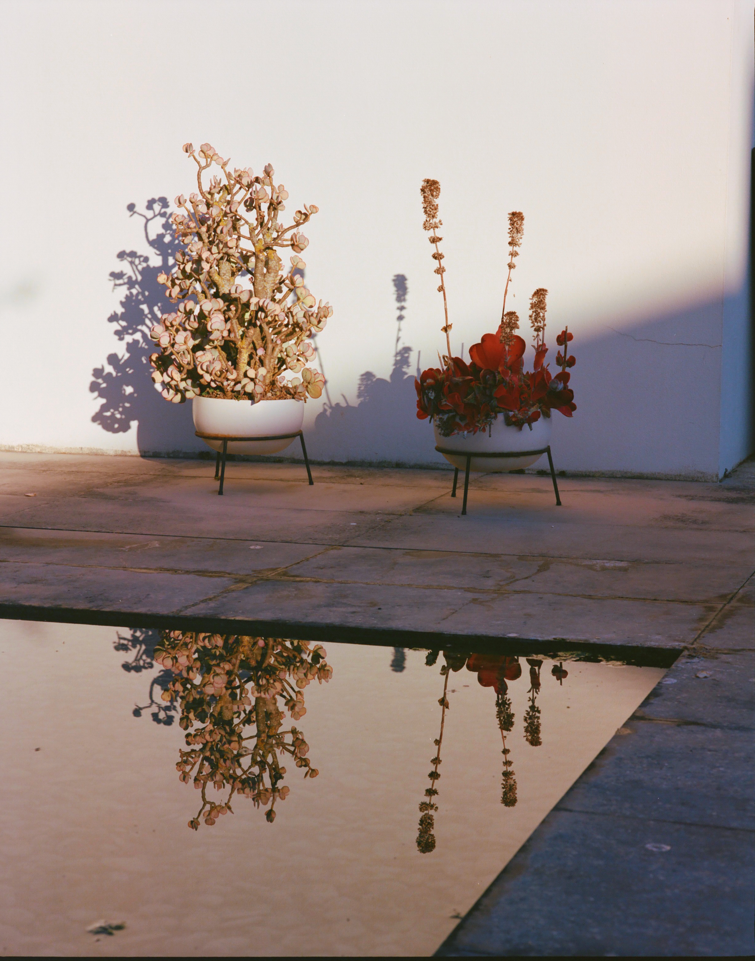 Portfolio 06 07 18 033