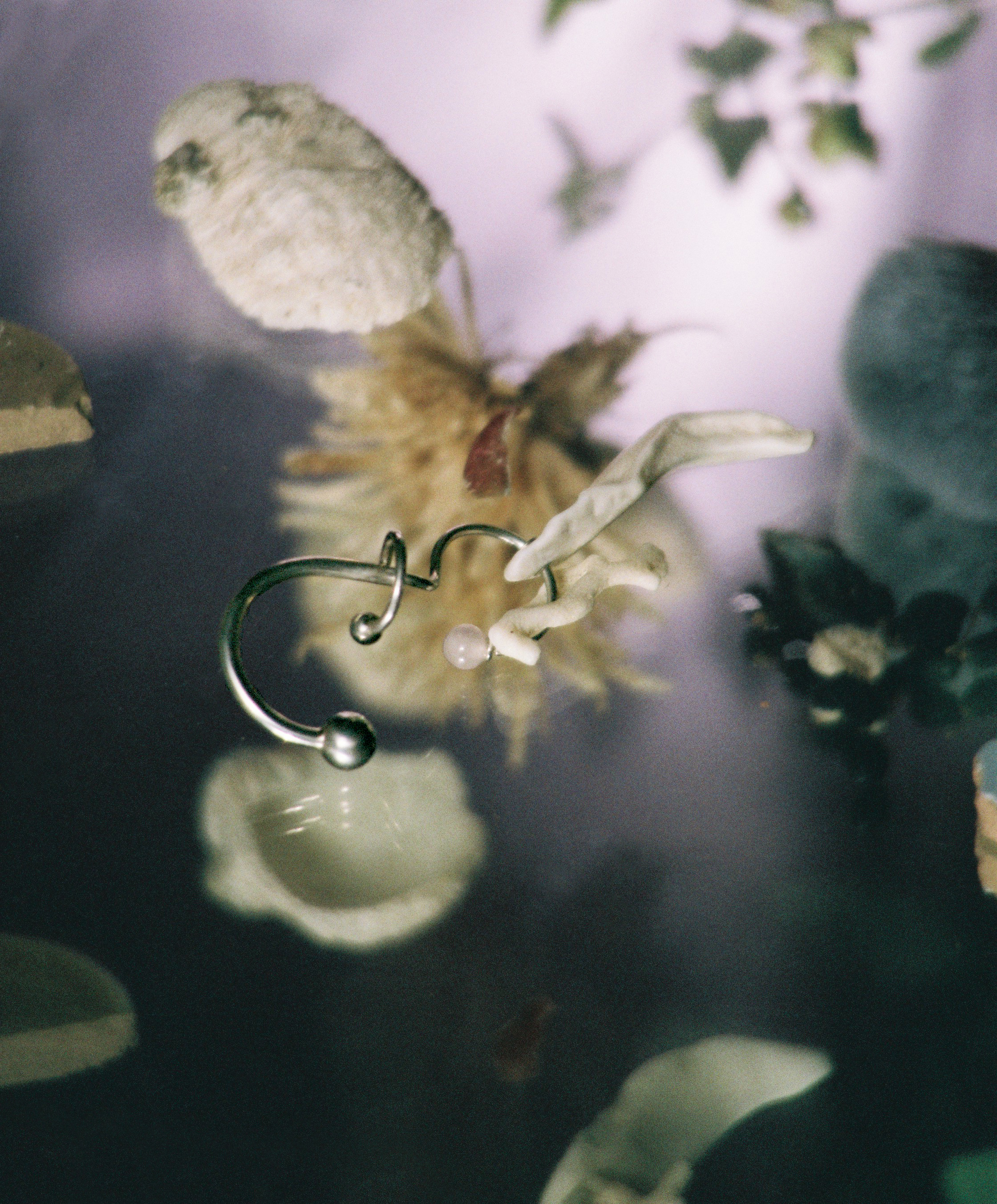 ARETA.MATA 13 florence campbell.