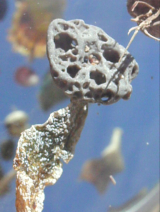 Captura de pantalla 2017 10 27 a las 17.48.28