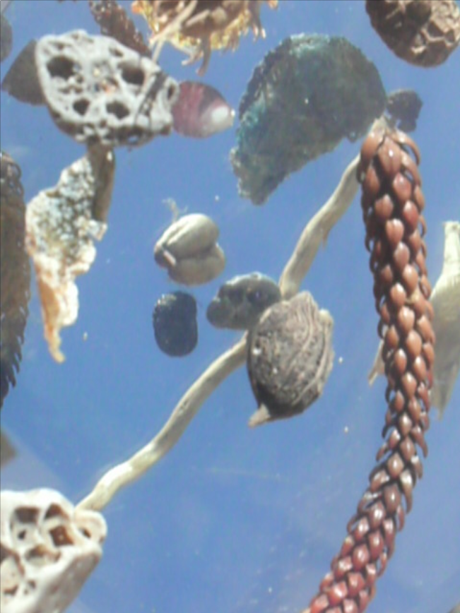 Captura de pantalla 2017 10 27 a las 17.52.53