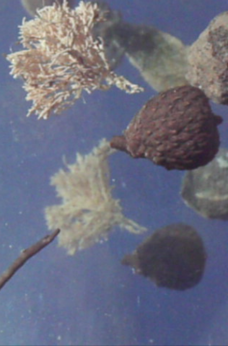 Captura de pantalla 2017 10 27 a las 17.57.30