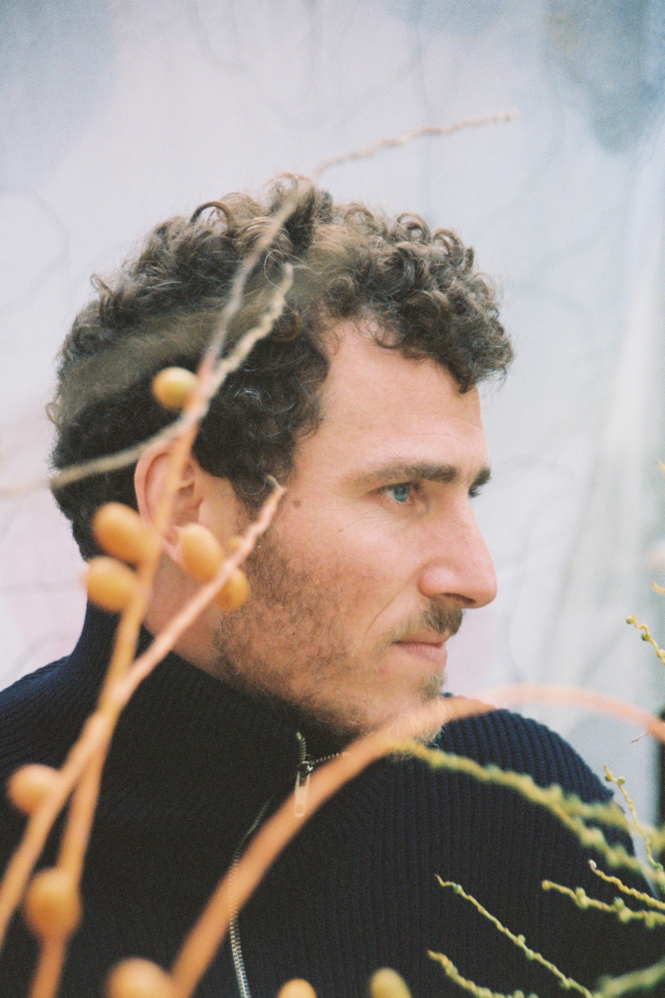 Will looking sailor 2