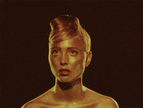 10 Adaptative NoTRANS 40Loosy008 10 Adaptative NoTRANS 40Loosy008