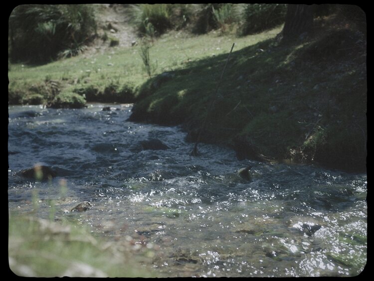 DM v 1.1.3 DM v 1.1.3