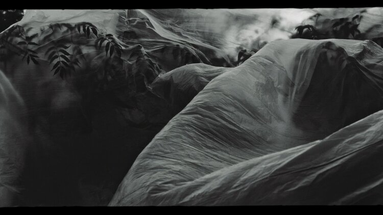 MHOL 1.6.1 MHOL 1.6.1