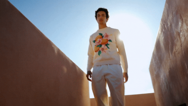 ezgif.com optimize 12 ezgif.com optimize 12